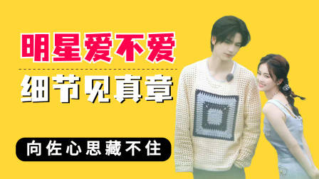 明星爱不爱细节见真章，张凌赫满眼都是白鹿，向佐心思根本藏不住