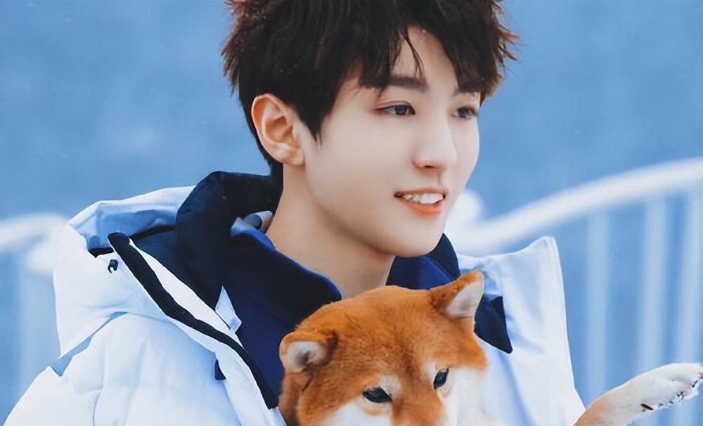 杨幂王俊凯绯闻_王俊凯早年经历_天涯黑料明星王俊凯,