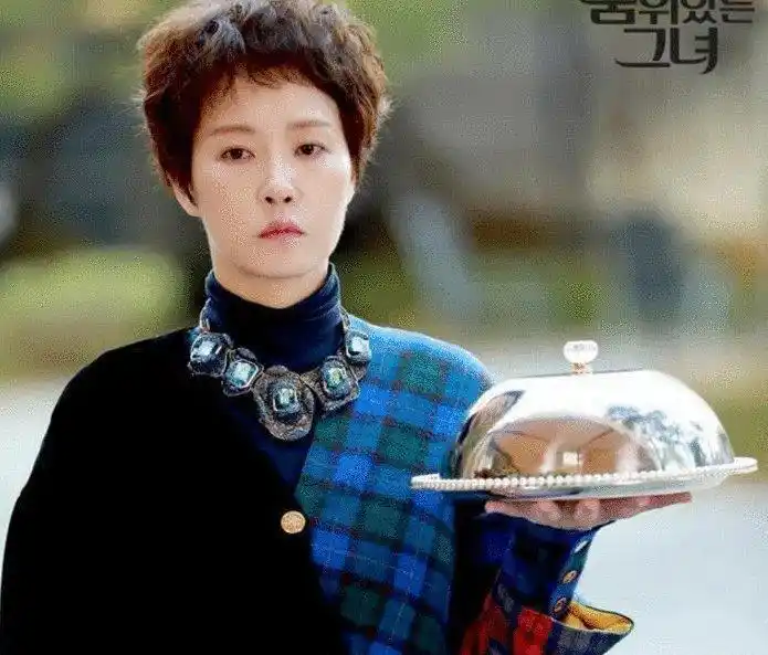 崔智友蔡琳尹恩惠刘仁娜刘荷娜韩恩贞金宣儿郑丽媛李多海朴诗妍_韩剧整容女明星_韩国整容女明星颜值变化