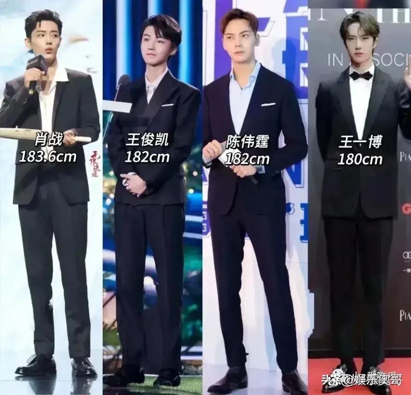 娱乐圈高个的男明星_娱乐圈谁高_娱乐圈男明星谁最高